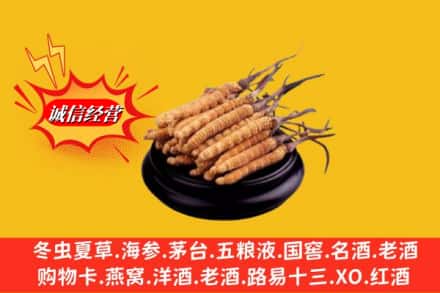 南平光泽县求购回收虫草多少钱每克